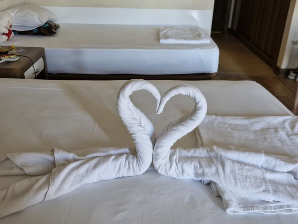 Zimmer Dizalya Palm Garden