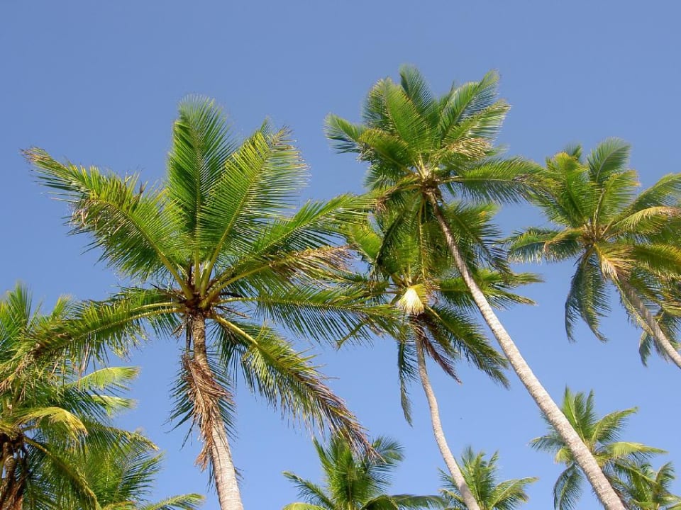 Himmelsblick am Strand Wyndham Alltra Samana