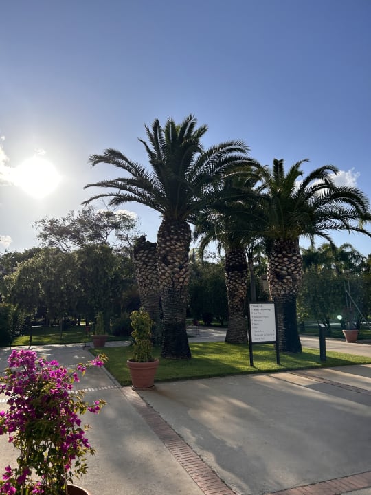 Außenansicht TUI MAGIC LIFE Calabria