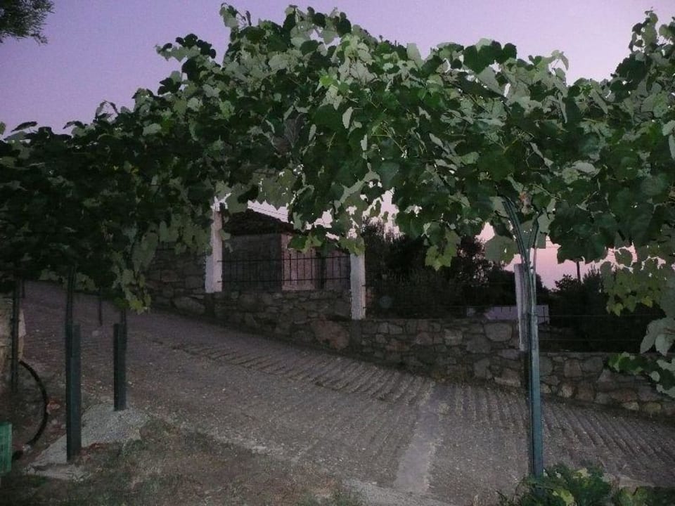 Anlage Hotel Geranion Village