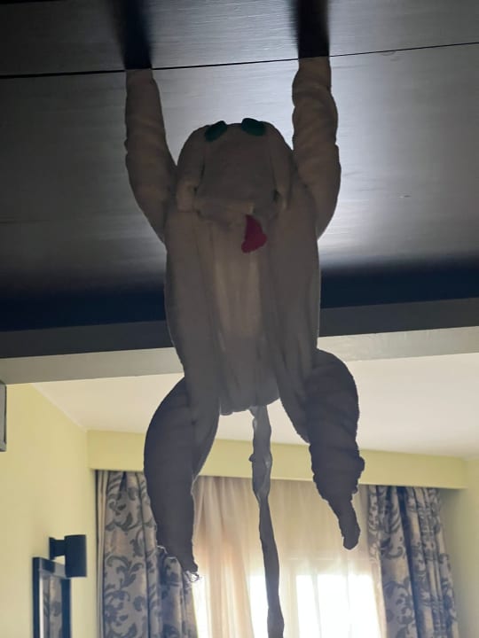 Zimmer Casa Mare Resort