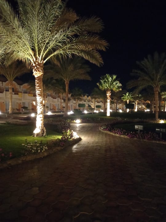 Gartenanlage Three Corners Sea Beach Resort