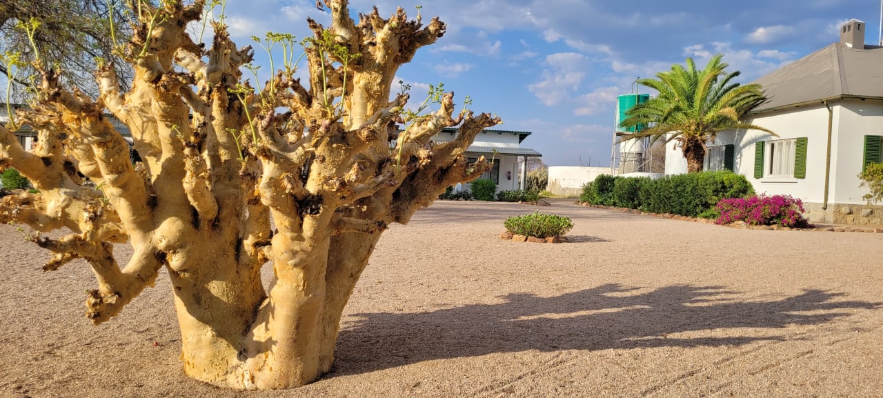 Außenansicht Etendero Guest Farm