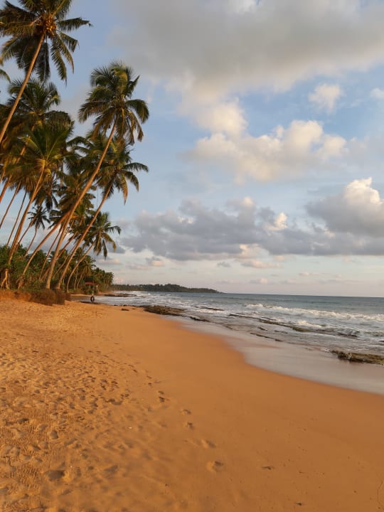 Strand The Habitat Kosgoda by Asia Leisure