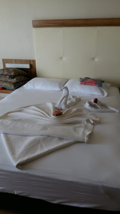 Zimmer toll gemacht  Calimera Hane Garden