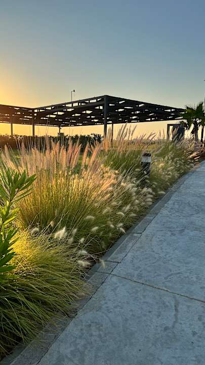 Gartenanlage Jacaranda Luxury Resort