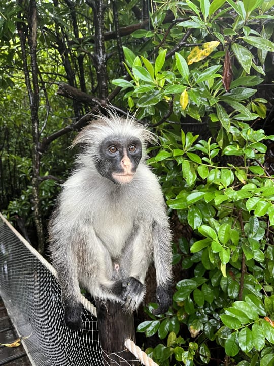 Gartenanlage Reef & Beach Resort