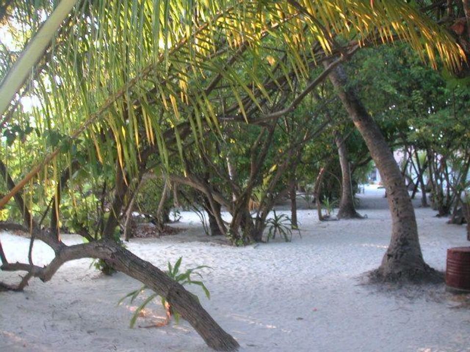 Innenbereich Embudu Embudu Village