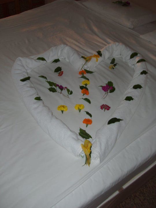 Dekoration auf dem Bett AQI Pegasos World