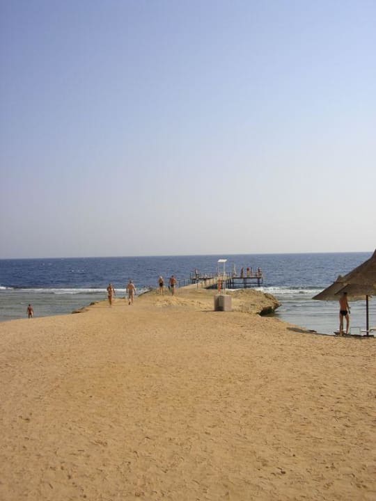 steg Serenity Alpha Beach