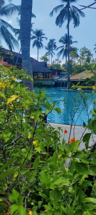 Pool Courtyard by Marriott Phuket, Patong Beach Resort