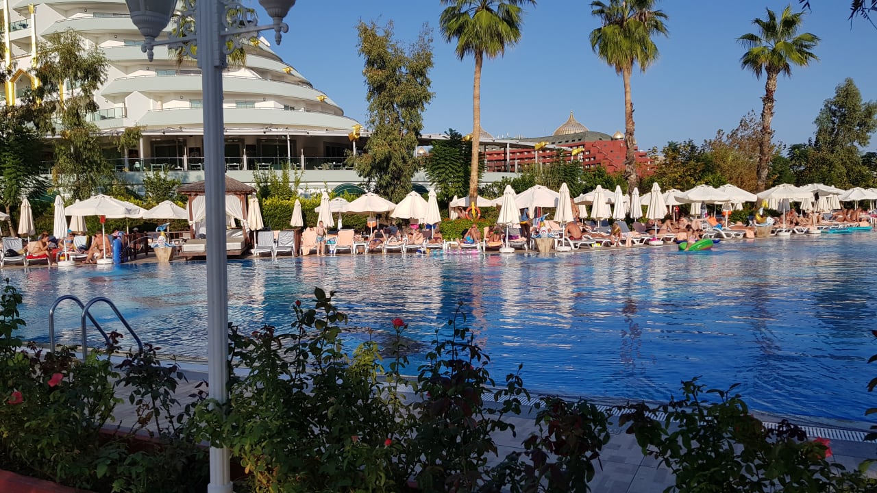 Pool Hotel Delphin Imperial