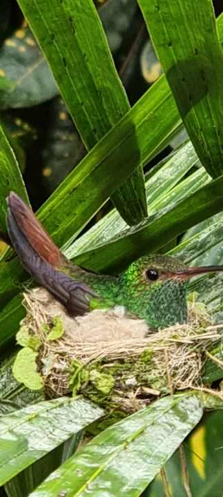Gartenanlage Relax Natural Village