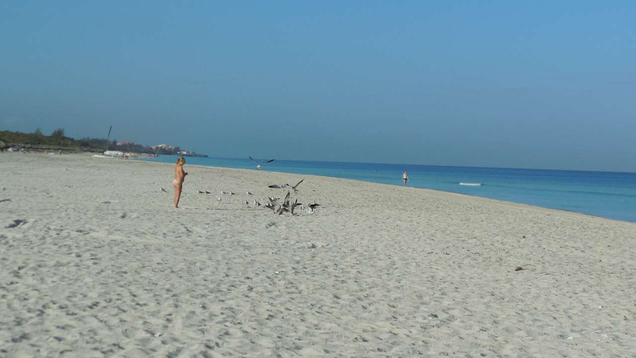 Plaza Royalton Hicacos Resort & Spa - Adults only
