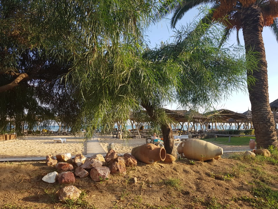 Gartenanlage The Orangers Beach Resort and Bungalows