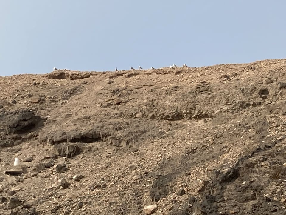 Ausblick TUI MAGIC LIFE Fuerteventura