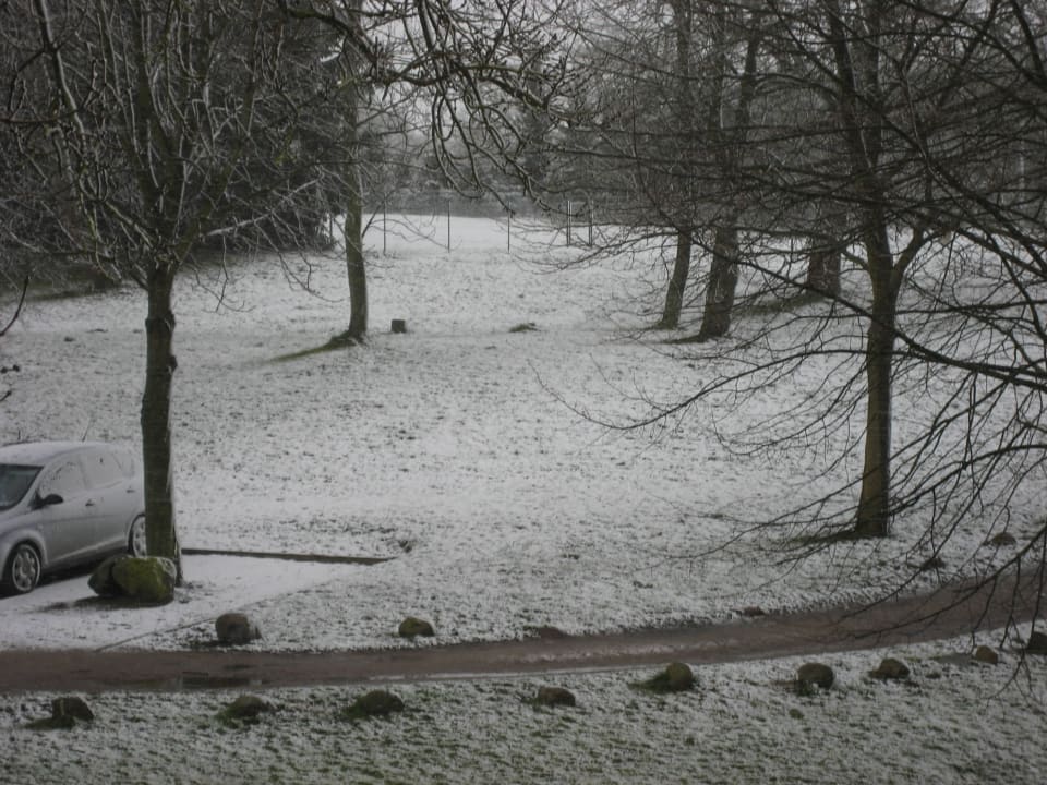 Seitlicher Blick in den Garten Schloss Rattey