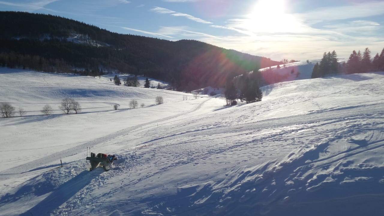Ausblick vom Balkon derWaldfrieden naturparkhotel