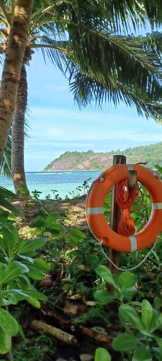 Ausblick Constance Ephelia