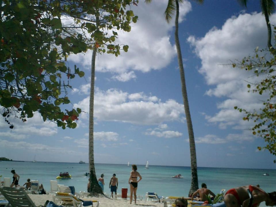 Halbtagesausflug Dreams La Romana Resort & Spa