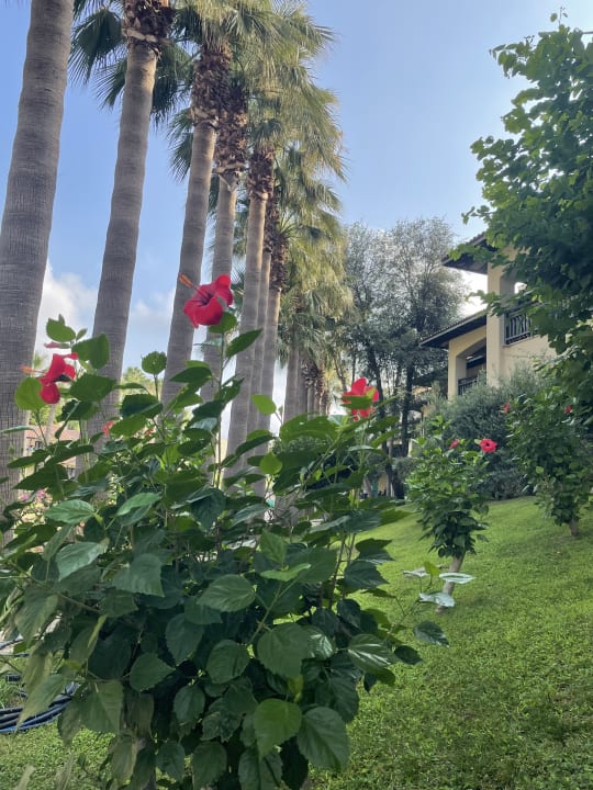 Gartenanlage Melas Holiday Village