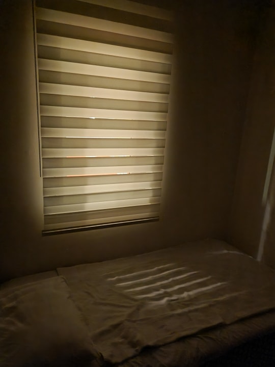 Zimmer AQI Pegasos World