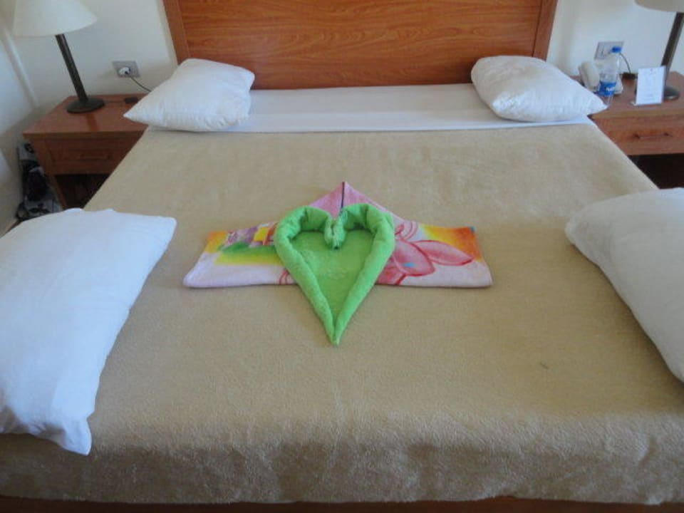 Festival Riviera Resort Riviera Aqua Park Resort