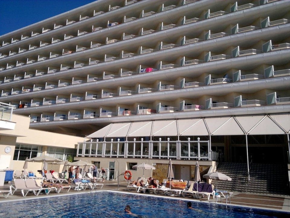 Widok z poziomu basenu Hotel Riu Oliva Beach - Hotel