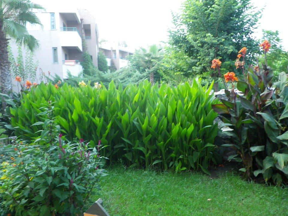 Gepflegte Gartenanlage Greenwood Kemer Resort