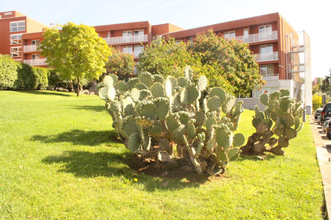 Gartenanlage Hotel Albatros Plava Laguna