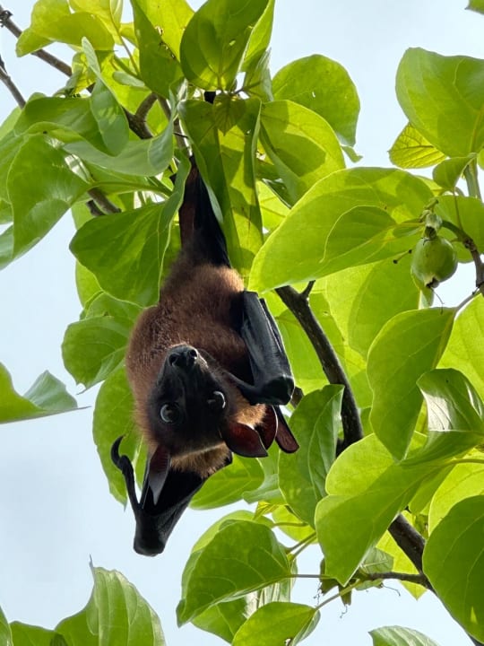 Gartenanlage Dreamland The Unique Sea & Lake Resort / Spa