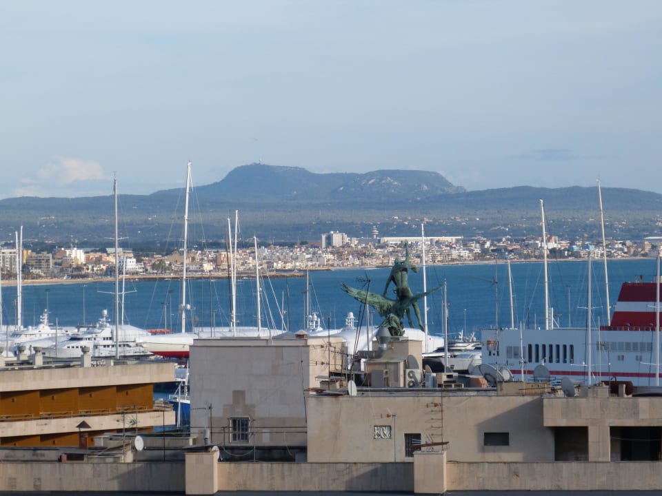 Blick über Palma Zurbaran