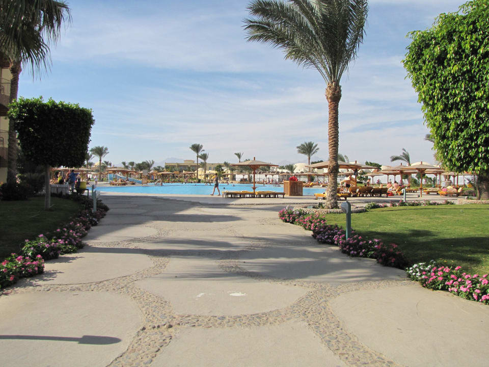 Gartenanlage Desert Rose