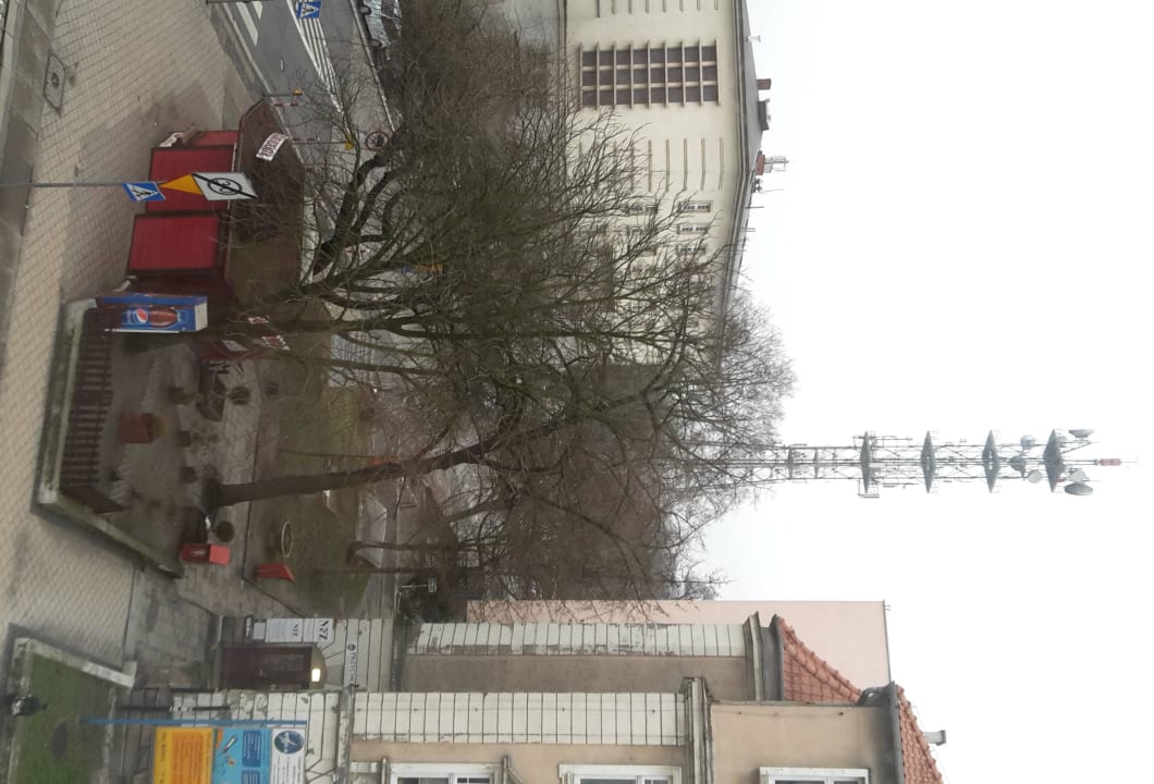 The sell pastries at this kiosk! Hotel Mercure Opole