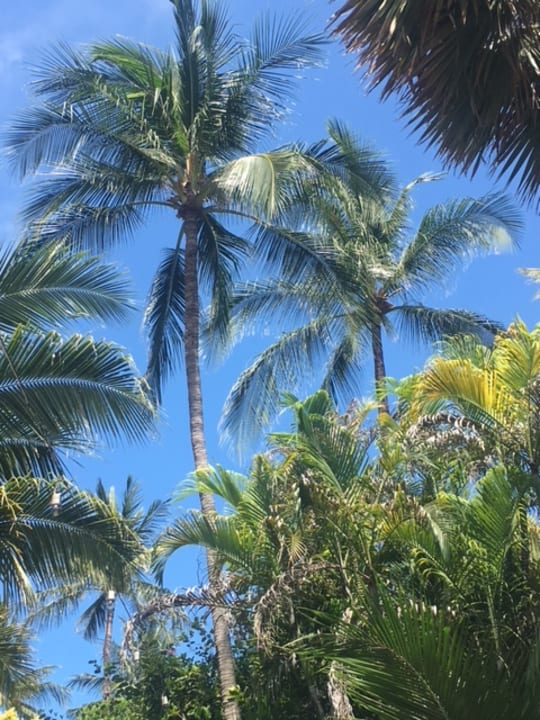 Gartenanlage The Fair House Beach Resort