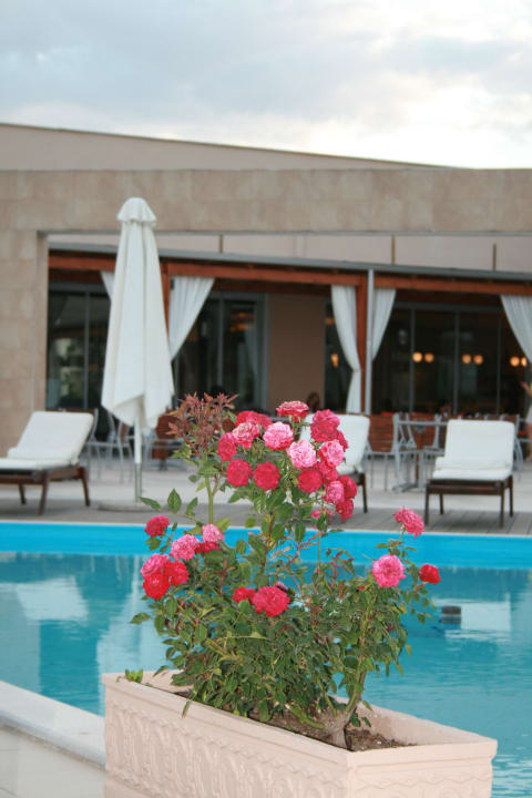 Schöne Liegen vor der Lobby  alltoura Club Hotel Poseidon Palace