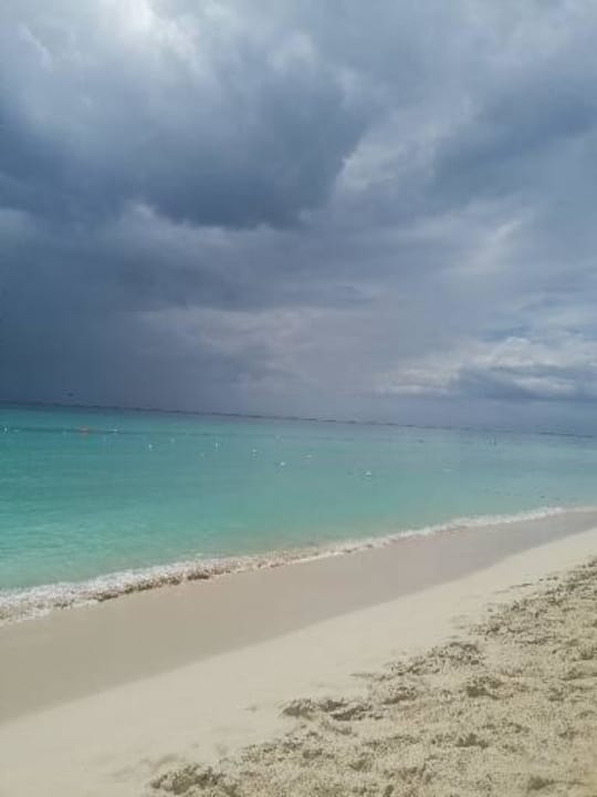 Strand Dreams Dominicus La Romana