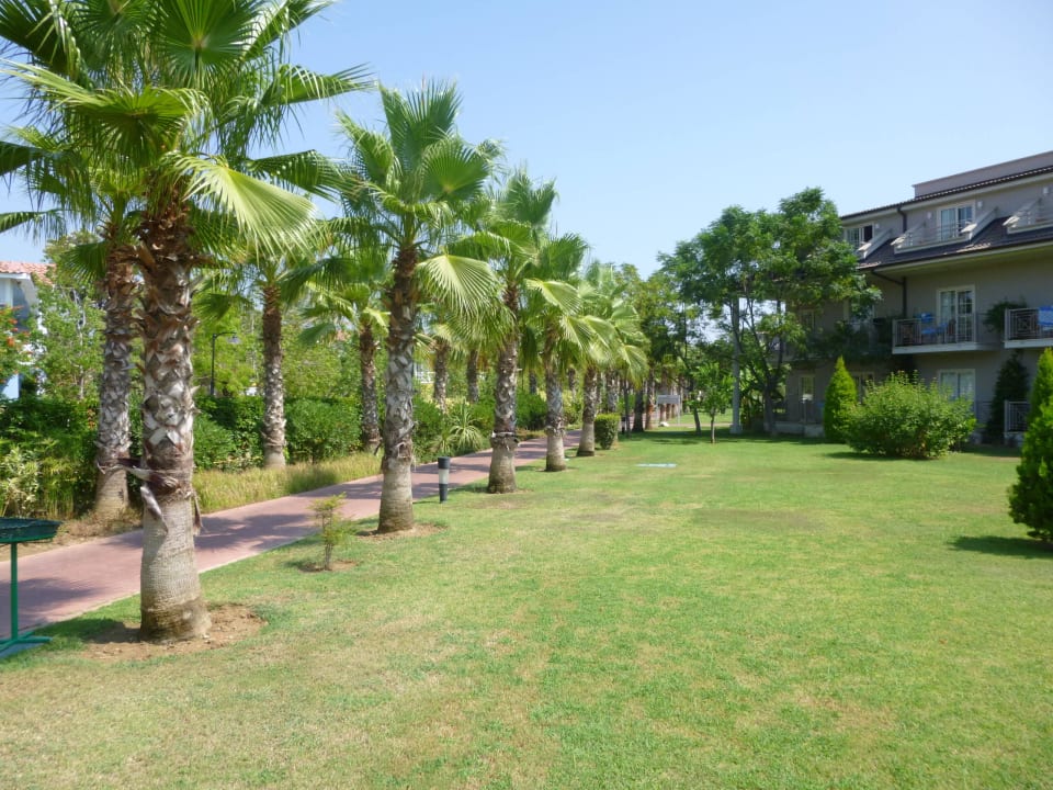 TOP gepflegt Sunis Elita Beach Resort & Spa