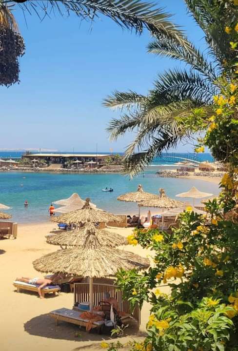 Ausblick Desert Rose