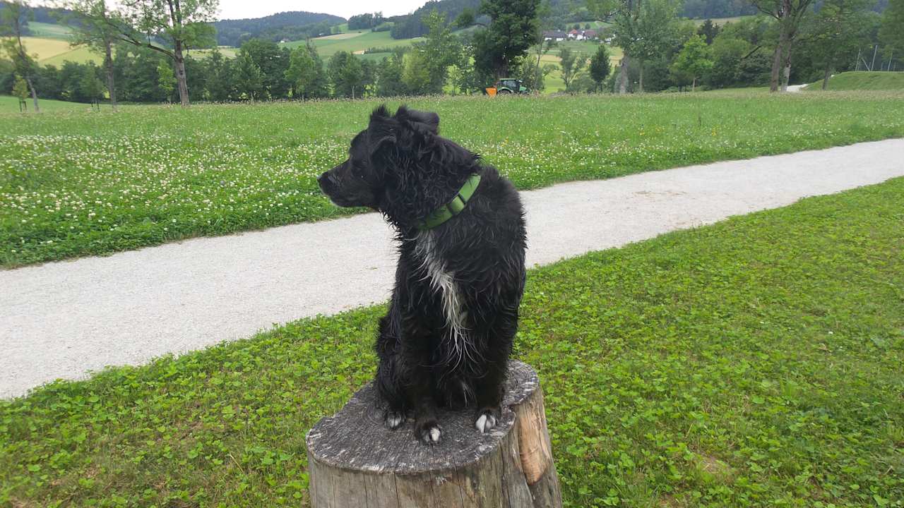 Gartenanlage Bärnsteinhof Gasthof mit Herz