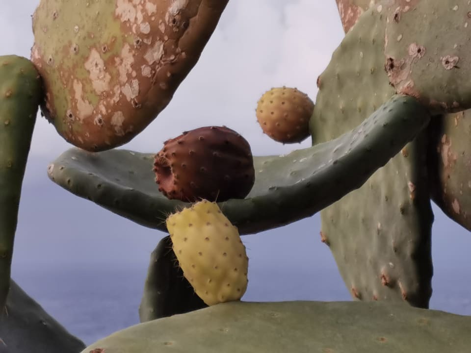 Außenansicht Aldiana Club Rocca Nettuno Calabria