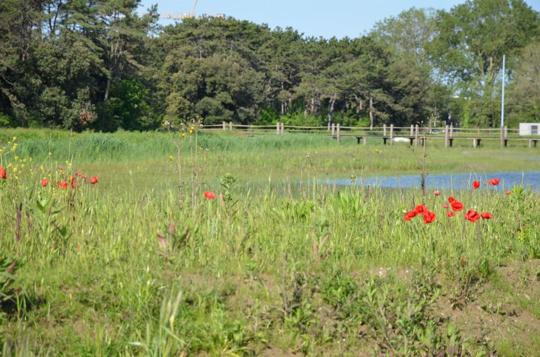 Gartenanlage Lino delle Fate - Eco Village Resort