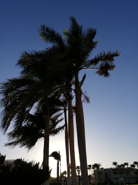 Strand Pickalbatros Aqua Blu Resort - Hurghada