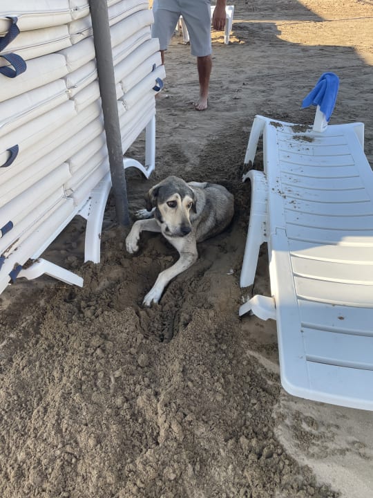 Strand Hotel Miramare Beach