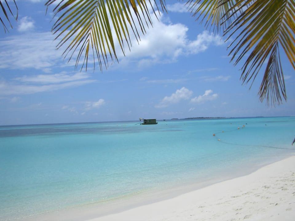 Blick von unserer J. Villa Kuredu Island Resort & Spa