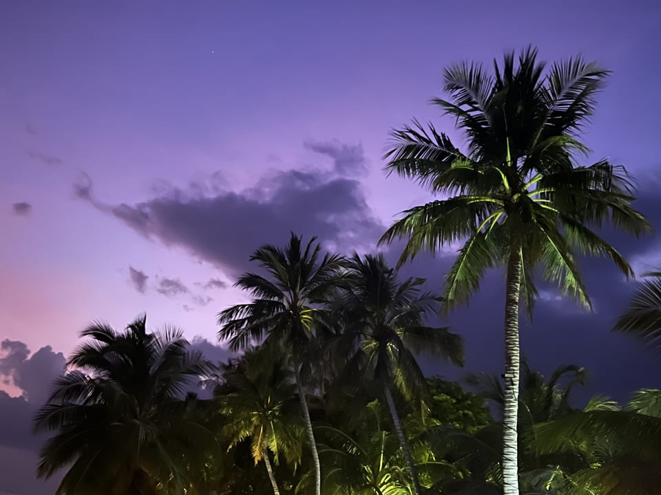 Ausblick Vilamendhoo Island Resort & Spa