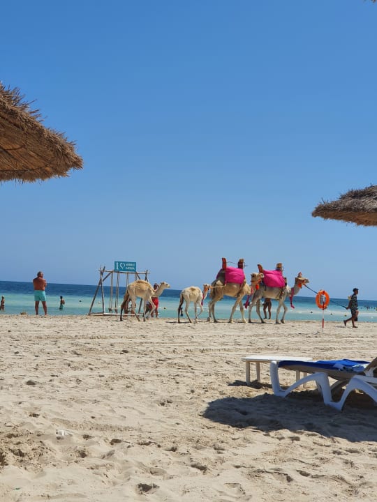 Strand Iberostar Waves Mehari Djerba
