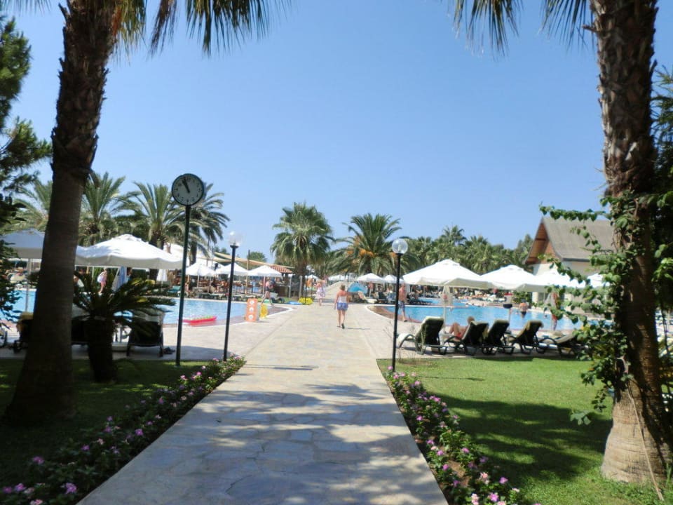 Gartenanlage Arum Barut Collection