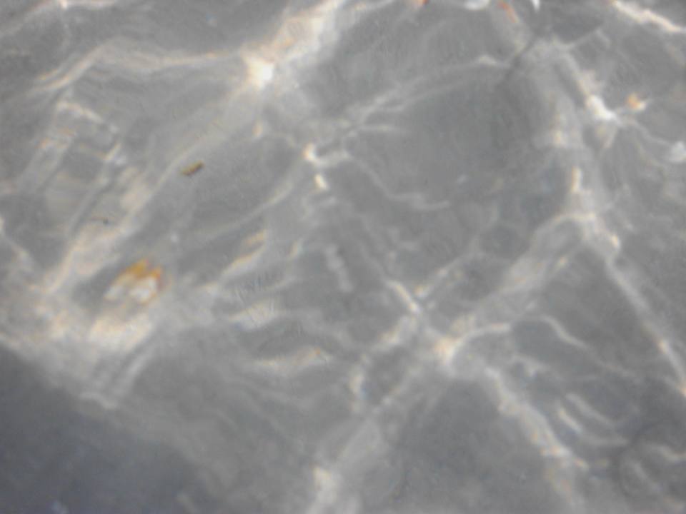 Muscheln Mahdia Beach & Aquapark