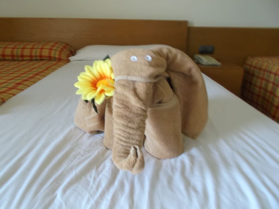 Zimmer SBH Club Paraiso Playa